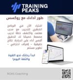 Online Coaching - 2 Months